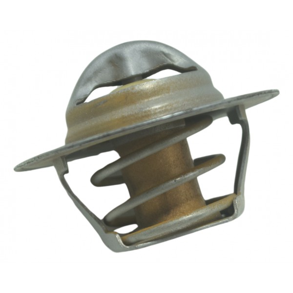 Válvula Termostática Triumph Tiger 800 13-14 Original