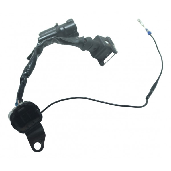 Chicote Motor Triumph Tiger 800 13-14 Original