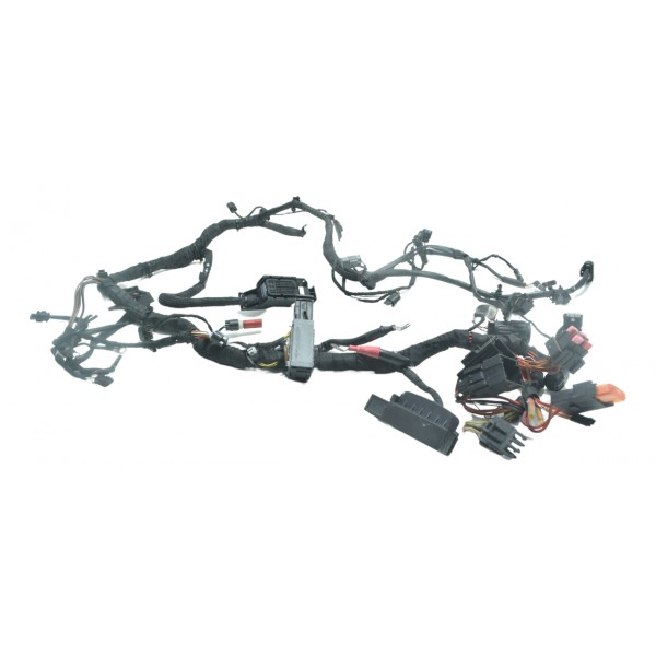 Chicote Principal Bmw S 1000 Rr 15-19 Original