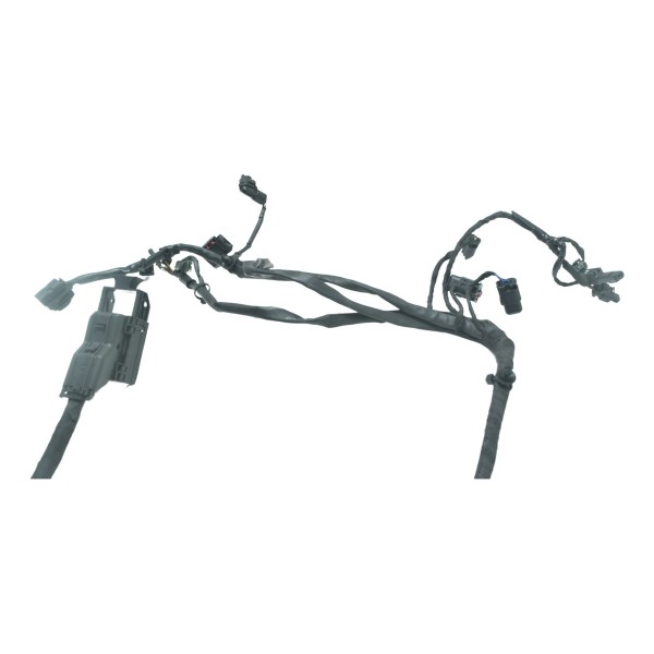 Chicote Principal Bmw S 1000 Rr 15-19 Original