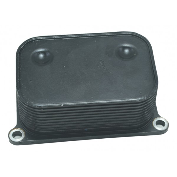 Resfriador Óleo Bmw F 800 Gs Adv 13-16 Original