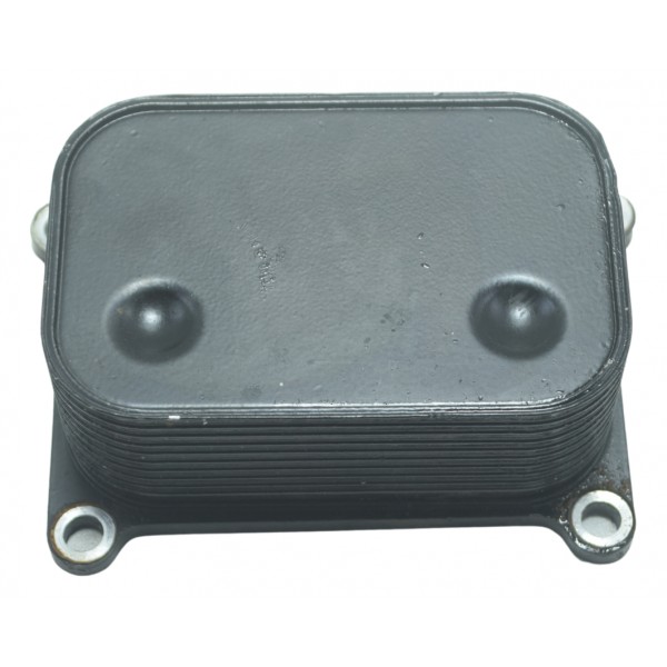 Resfriador Óleo Bmw F 800 Gs Adv 13-16 Original